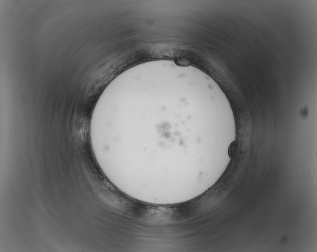 X0000115200125200912091144