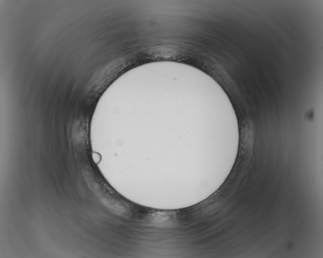 X0000115200126200912091144