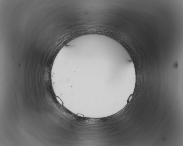 X0000115200128200912091144