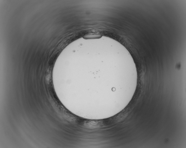 X0000115200129200912091144