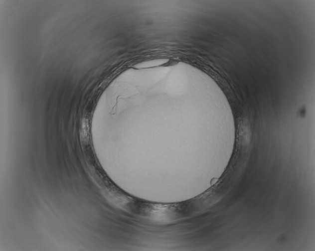 X0000115200130200912091144