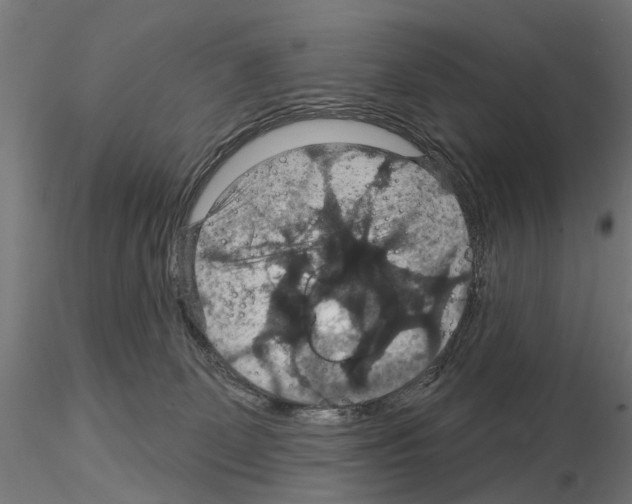 X0000115200131200912091144