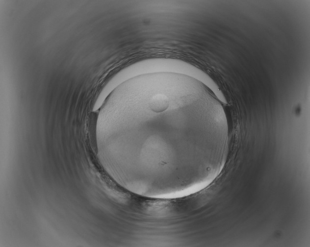 X0000115200132200912091143