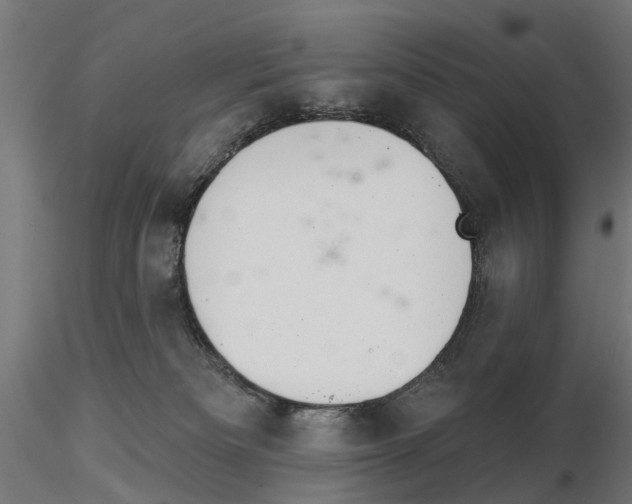 X0000115200133200912091143