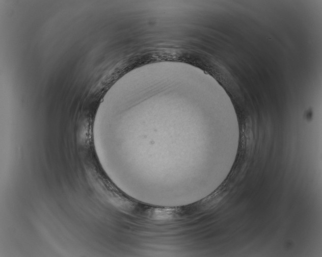 X0000115200134200912091143