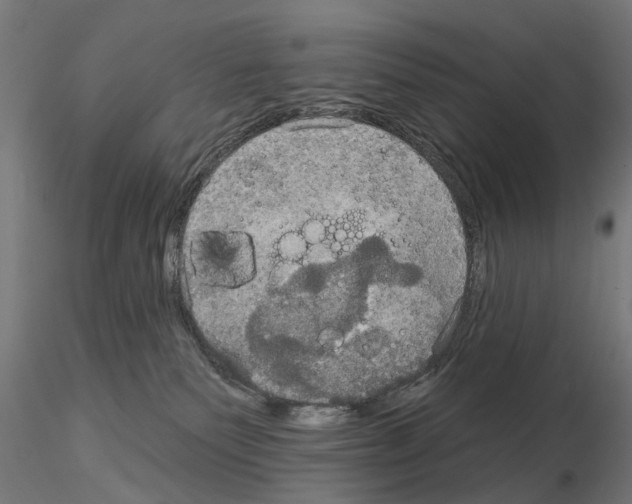 X0000115200135200912091143