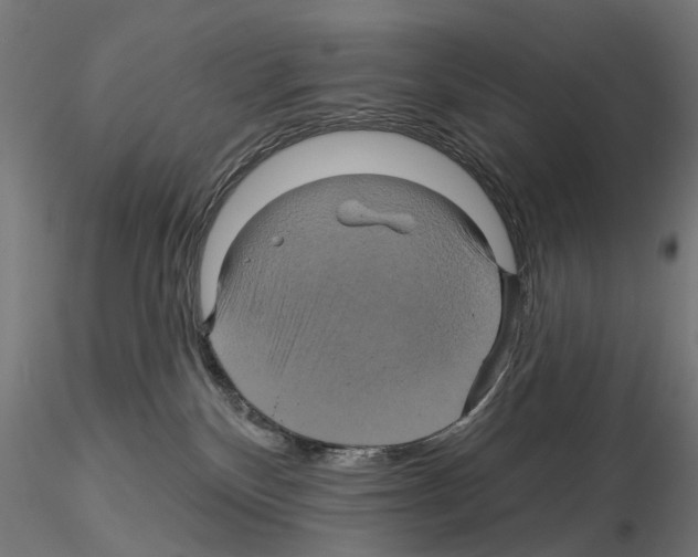 X0000115200136200912091143