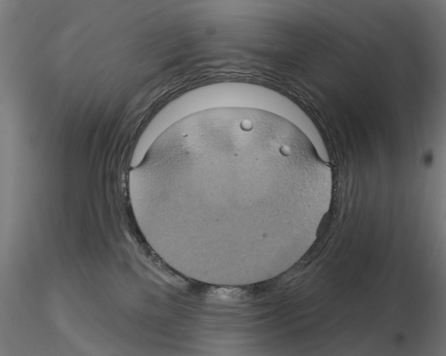 X0000115200137200912091143