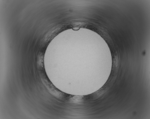 X0000115200138200912091143