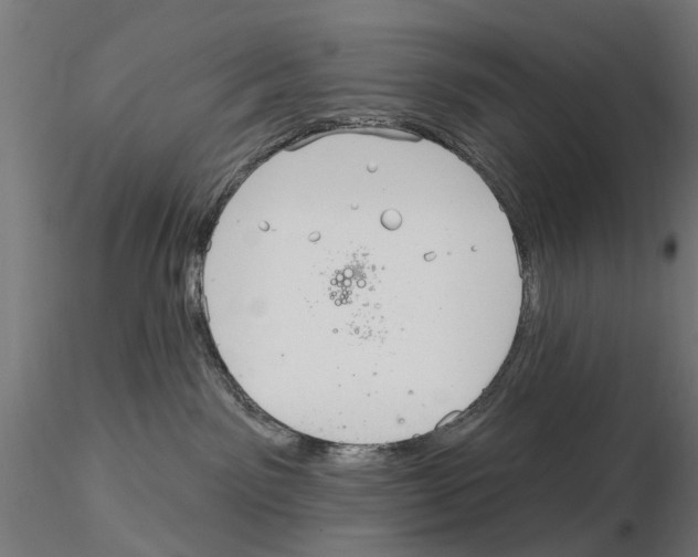 X0000115200141200912091143