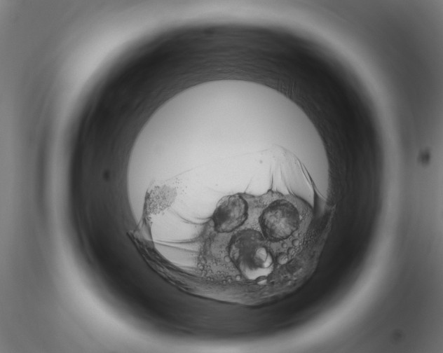 X0000115200143200912091143