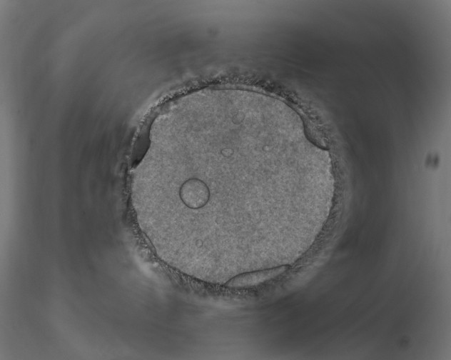 X0000115200144200912091143