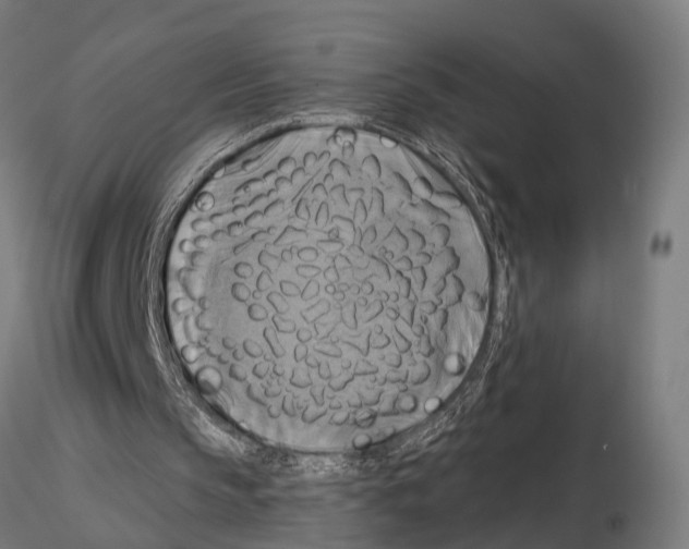 X0000115200145200912091142