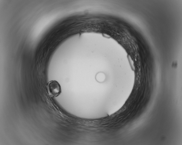 X0000115200146200912091143