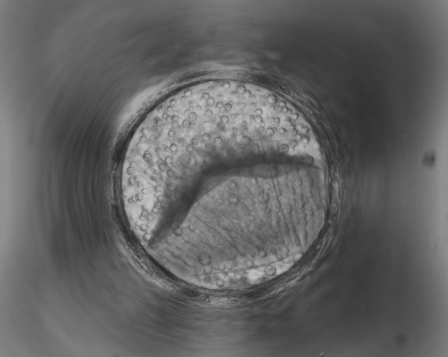 X0000115200149200912091143