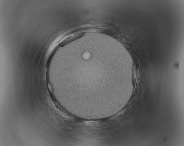 X0000115200150200912091143