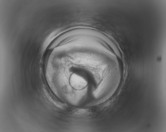 X0000115200151200912091143