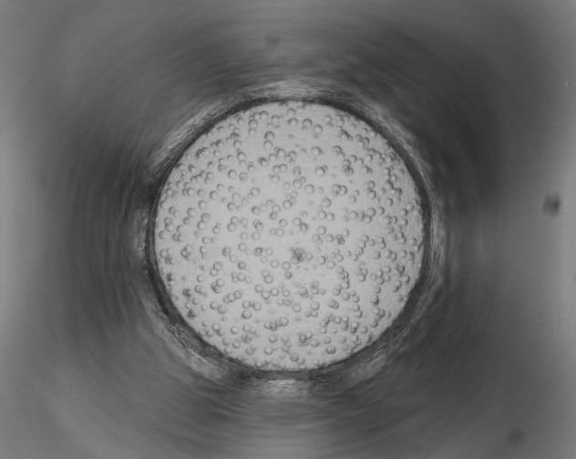 X0000115200153200912091143