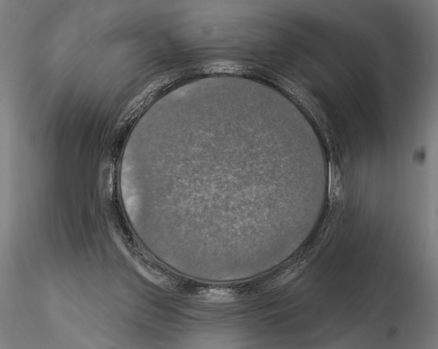 X0000115200157200912091143