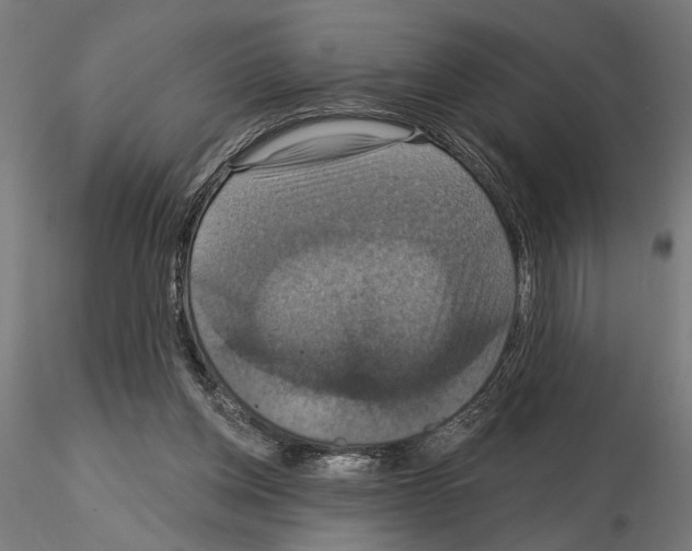 X0000115200158200912091143