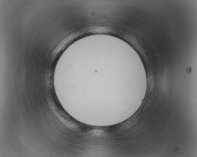 X0000115200159200912091143