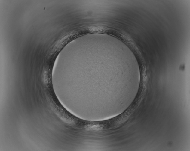 X0000115200161200912091143