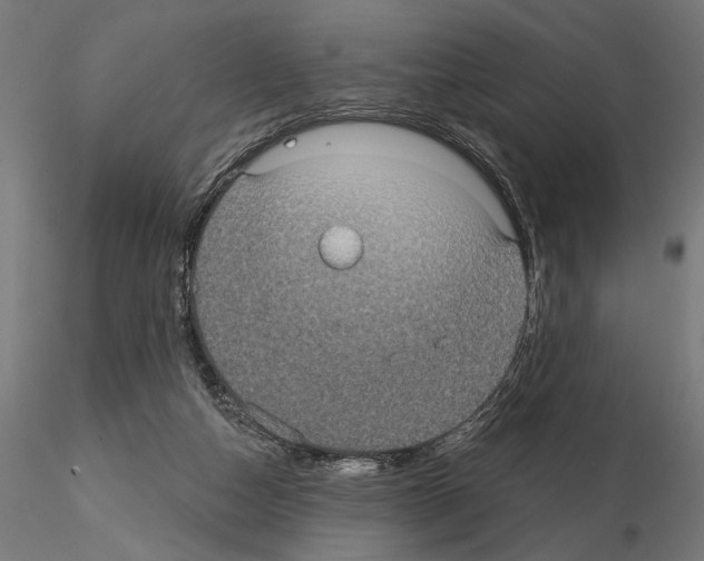 X0000115200162200912091143