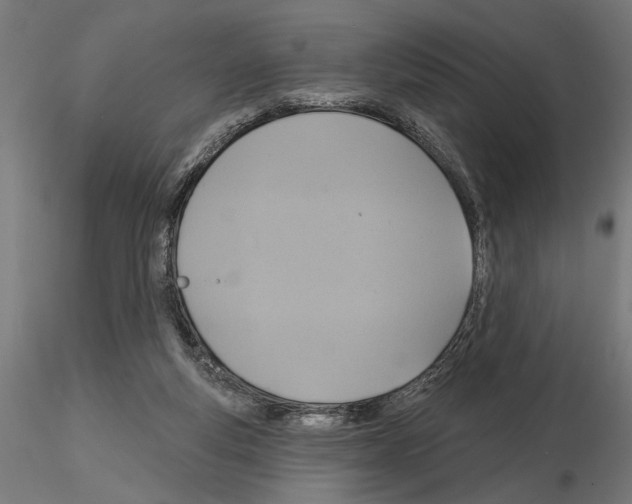 X0000115200163200912091143