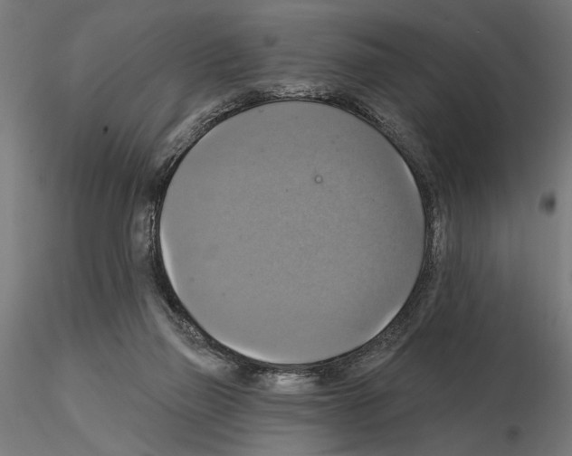 X0000115200165200912091143