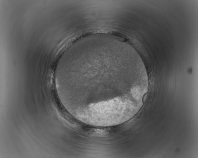 X0000115200166200912091143