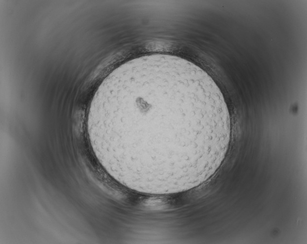 X0000115200171200912091143