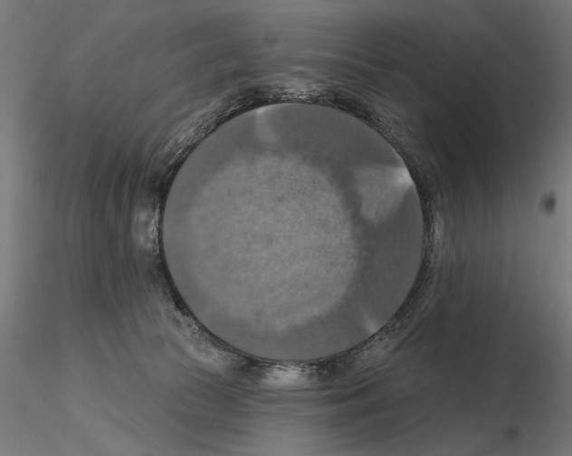 X0000115200177200912091143