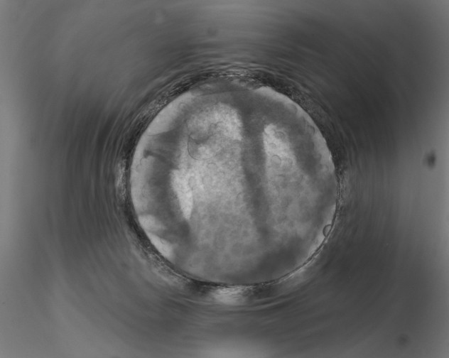 X0000115200178200912091143