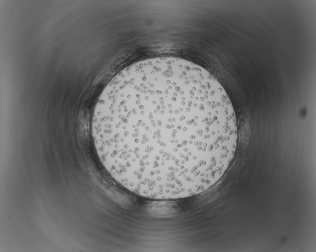 X0000115200179200912091143