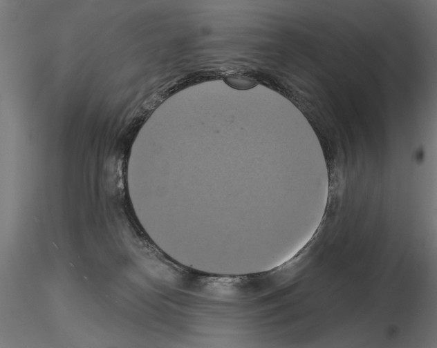 X0000115200182200912091143