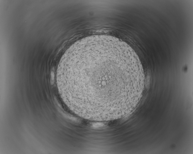 X0000115200183200912091143