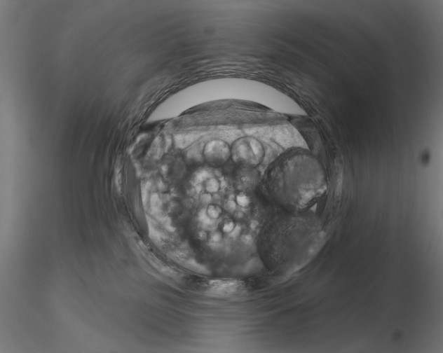 X0000115200185200912091143