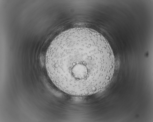 X0000115200187200912091143