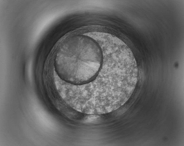 X0000115200189200912091143