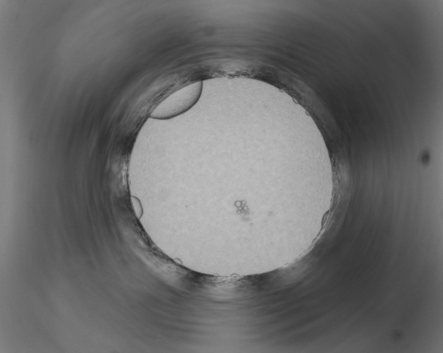 X0000115200191200912091143