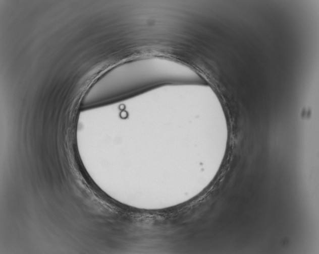 X0000115200193200912091142