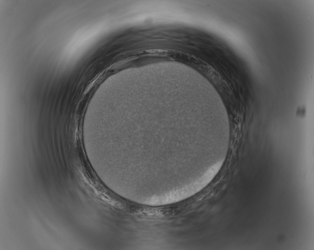 X0000115200194200912091142