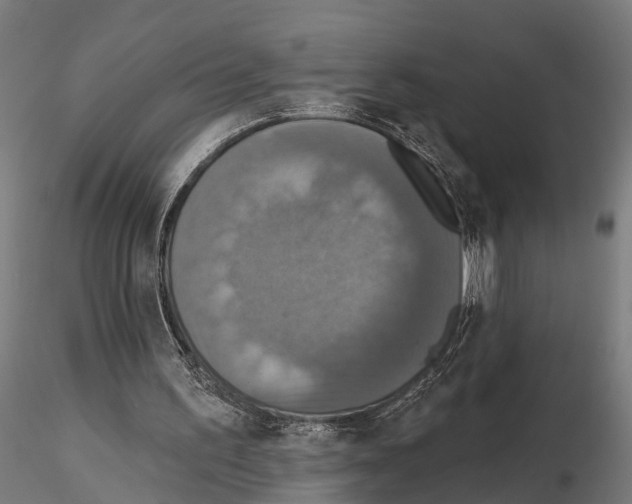 X0000115200195200912091142