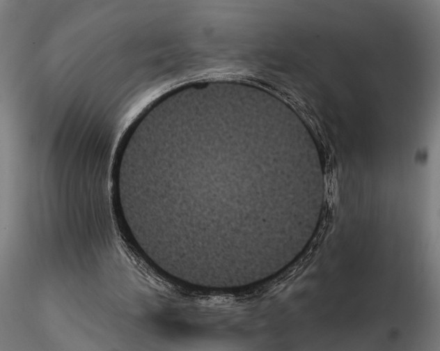 X0000115200196200912091142