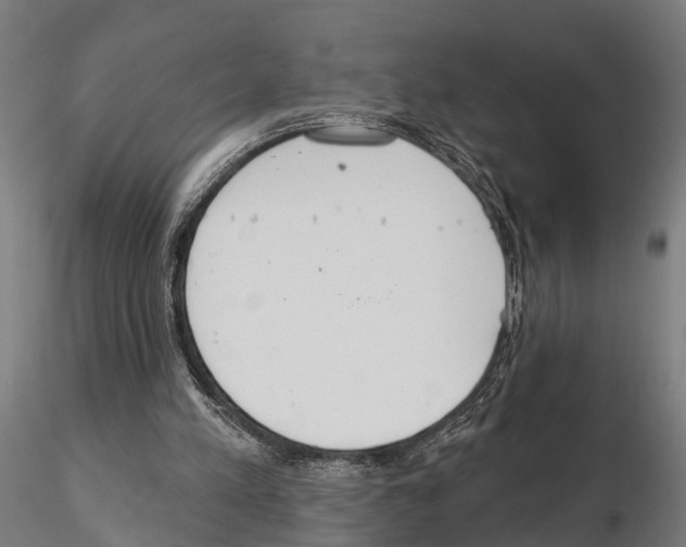 X0000115200197200912091142