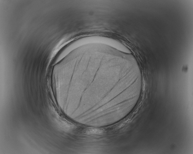 X0000115200198200912091142