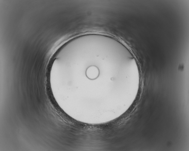 X0000115200199200912091142