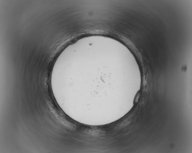 X0000115200201200912091142