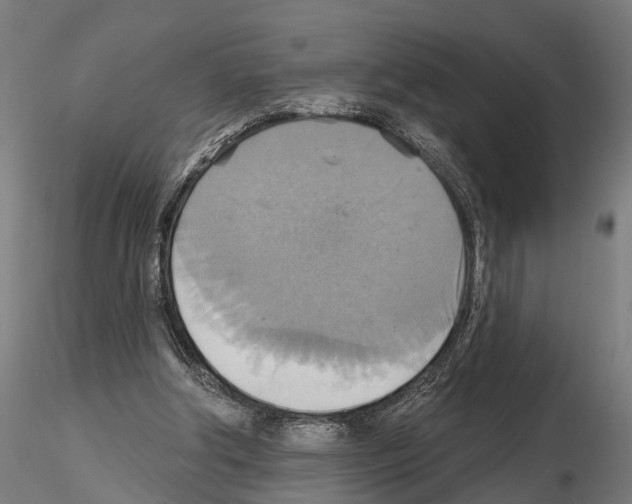 X0000115200202200912091142