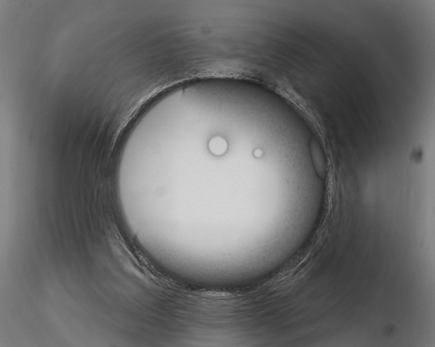 X0000115200203200912091142